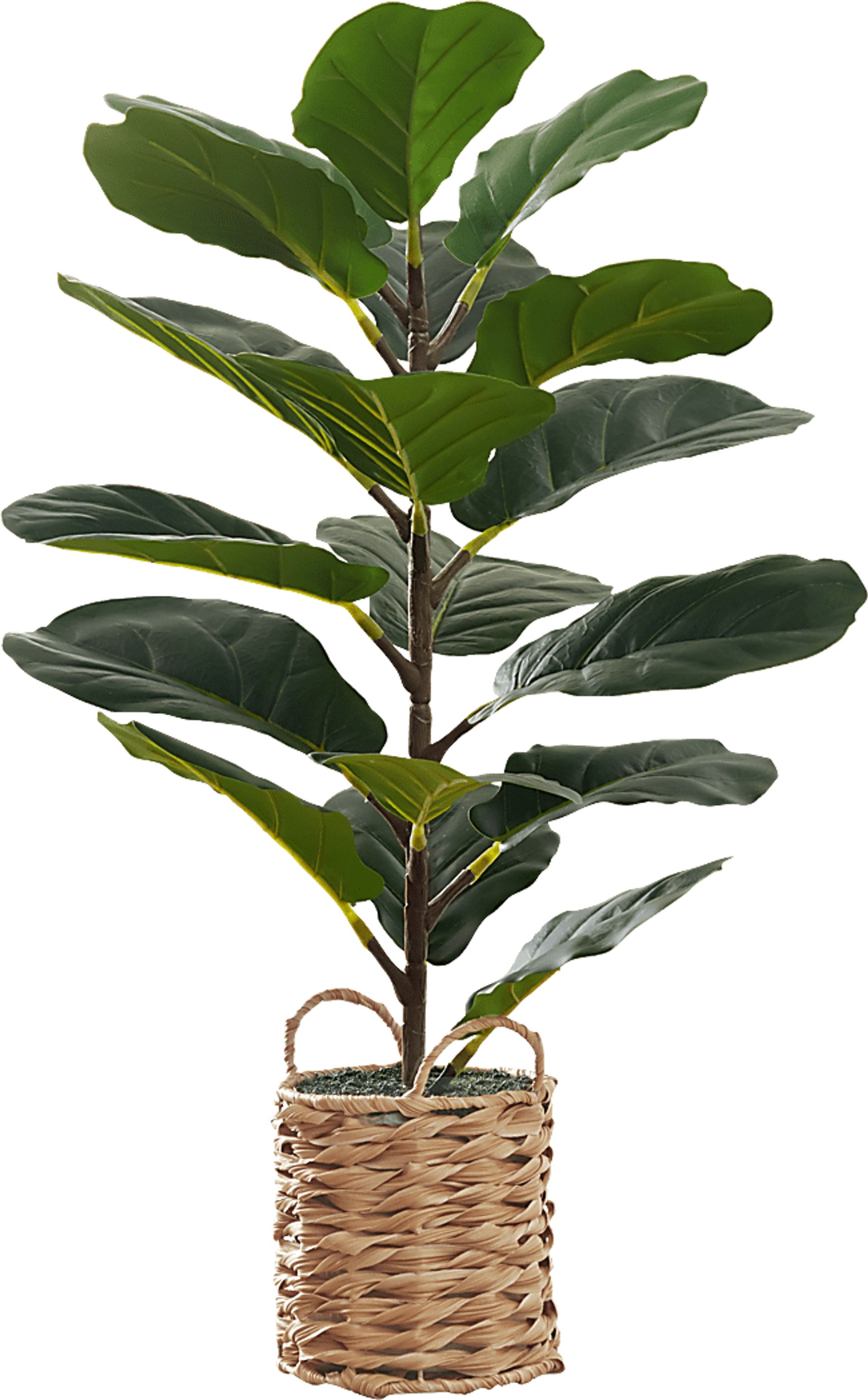 Ketembilla Green Artificial Fiddle Tree - Image 1