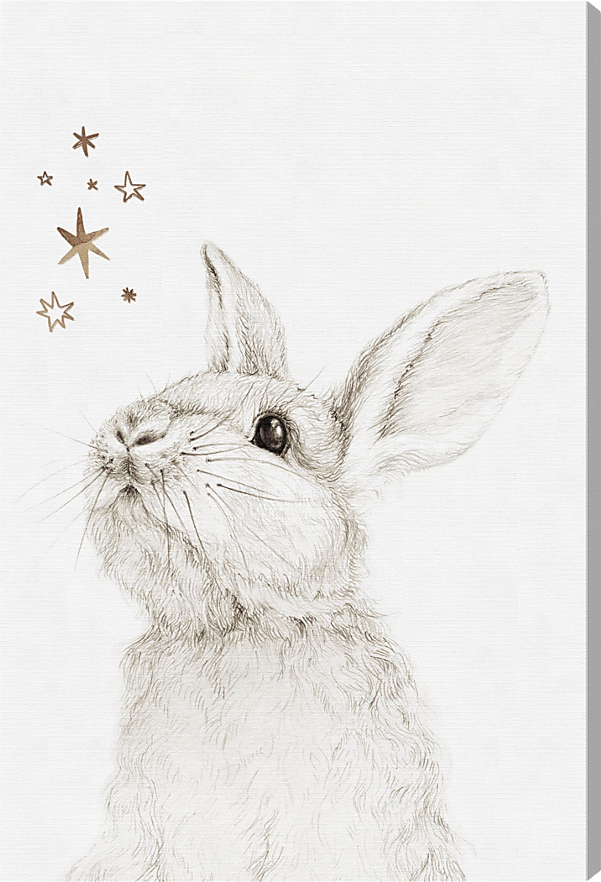 Kids A Bunny's Wish White Small Wall Art - Image 1