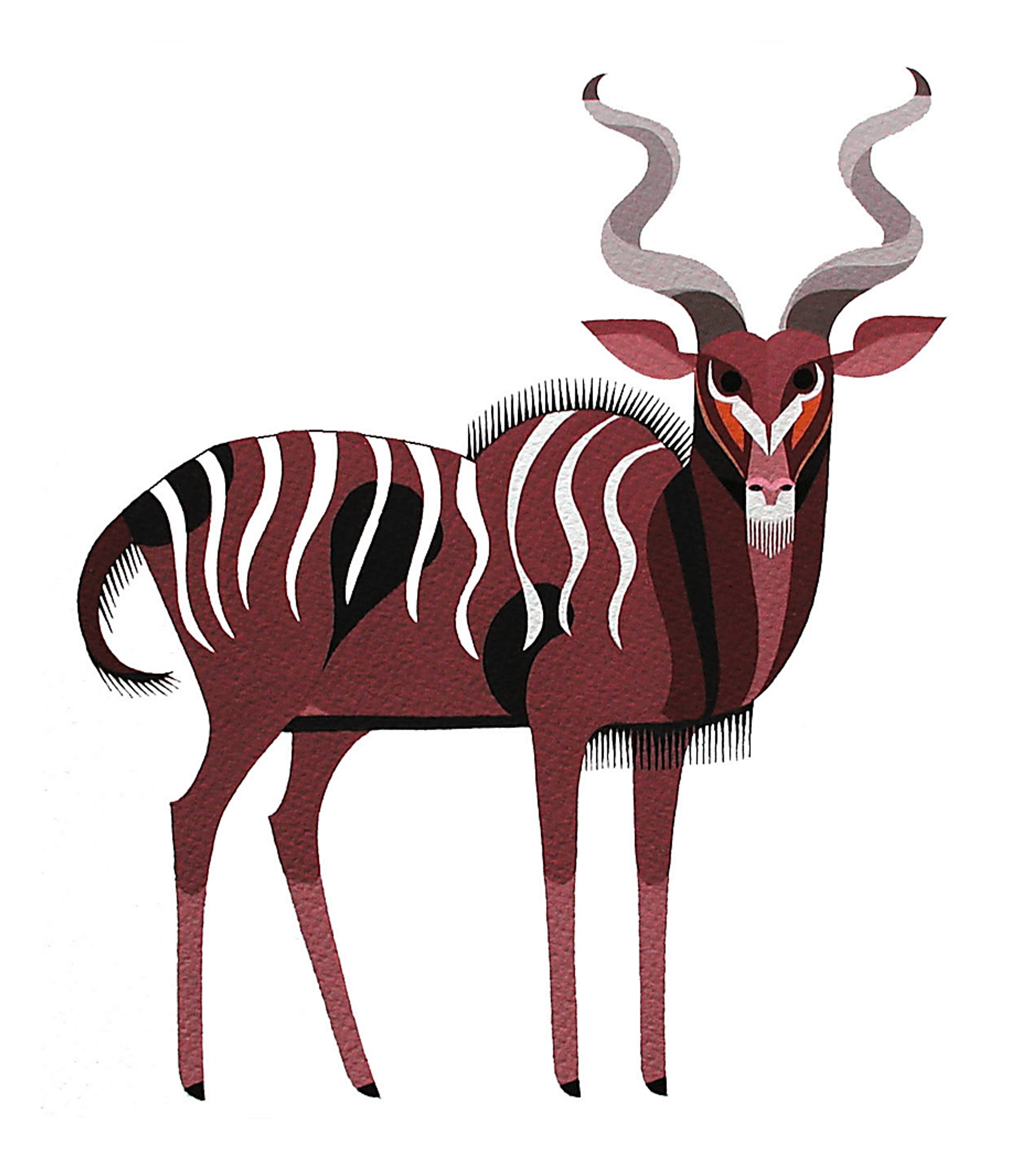 Kids Antelope Games Artwork - Image 1