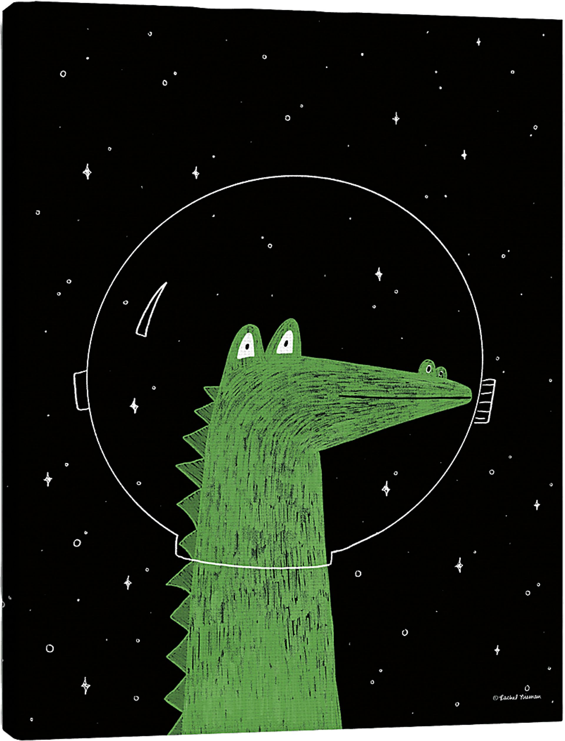 Kids Astro Gator II Black Artwork - Image 1