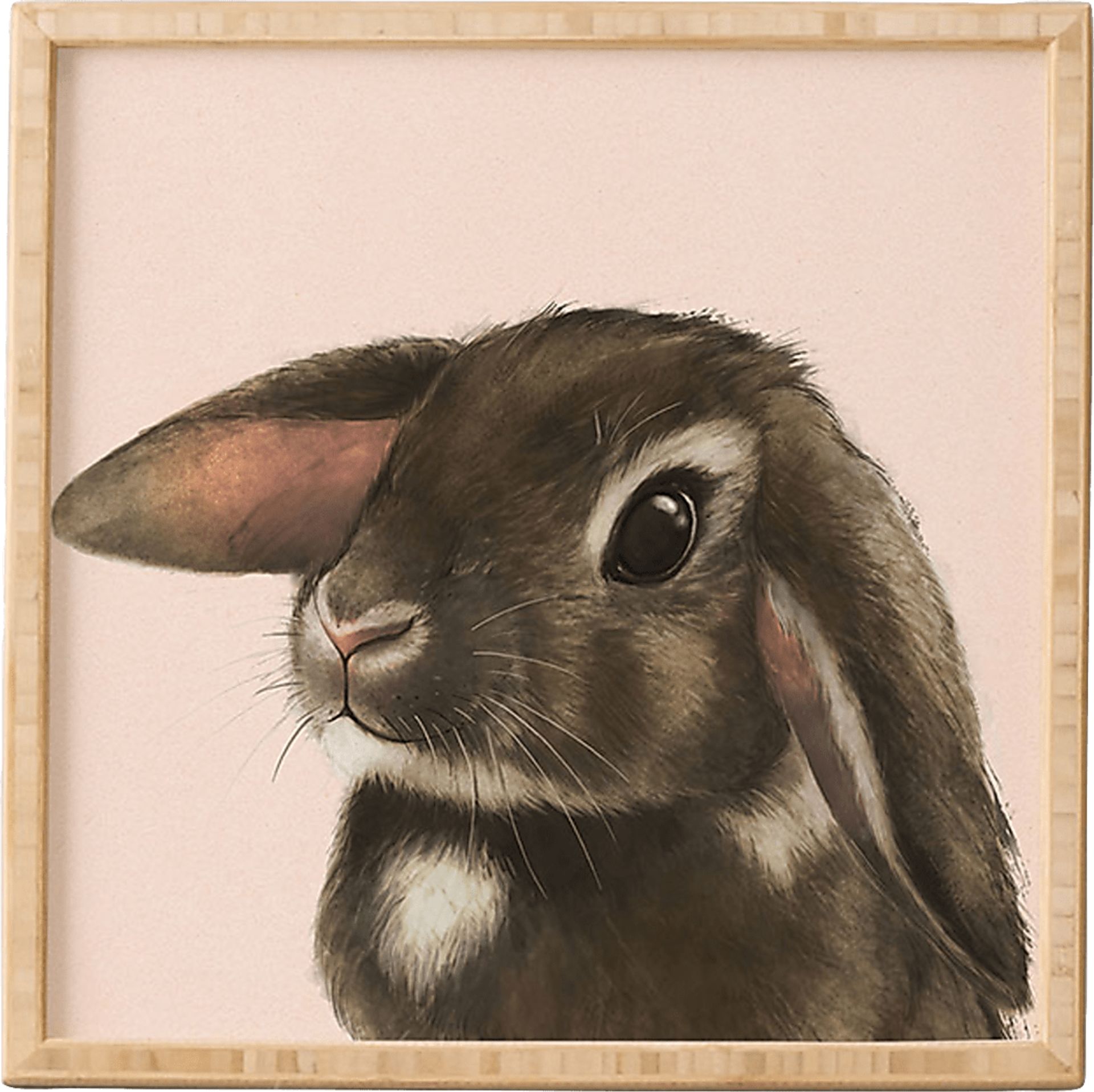 Kids Baby Bunny Boo Pink Framed Wall Art - Image 1