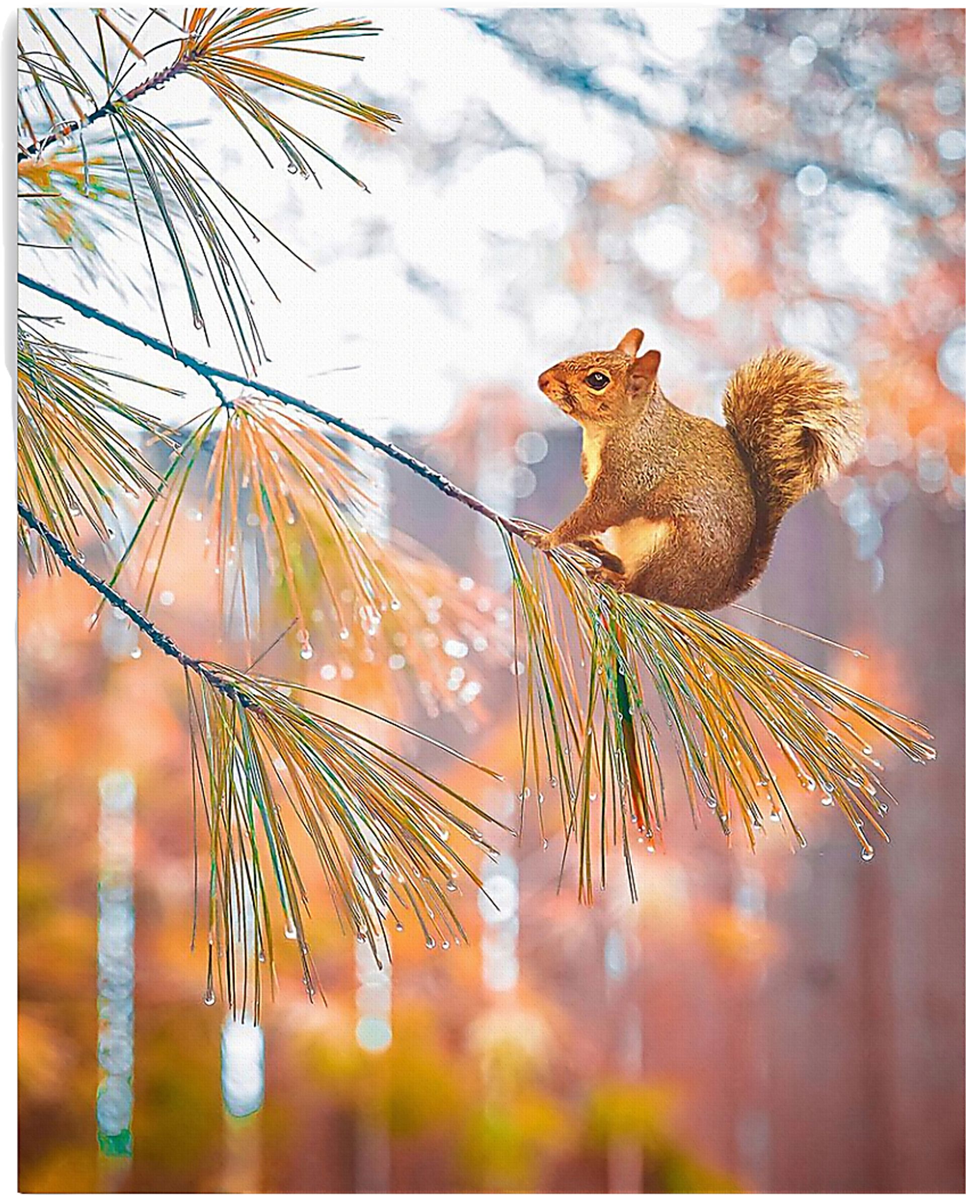 Kids Baby Squirrel II Brown Artwork - Image 3