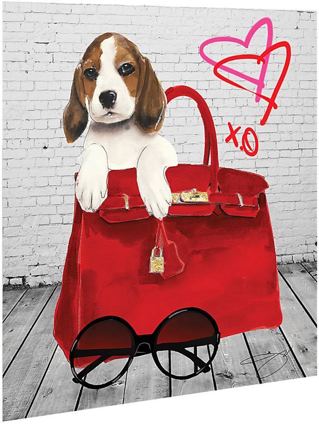 Kids Beagle In The Bag White Glass Wall Art - Thumbnail - Image 2