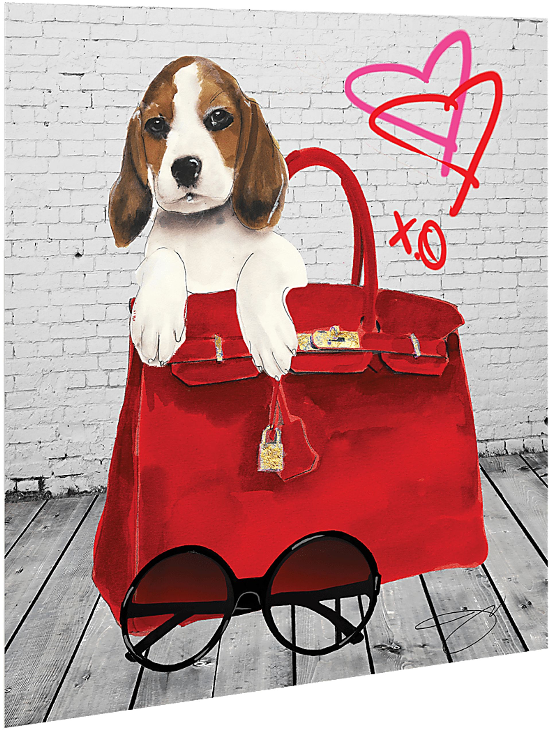 Kids Beagle In The Bag White Glass Wall Art - Image 2