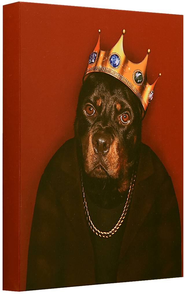 Kids Big Bark King Red Wall Art - Thumbnail - Image 2