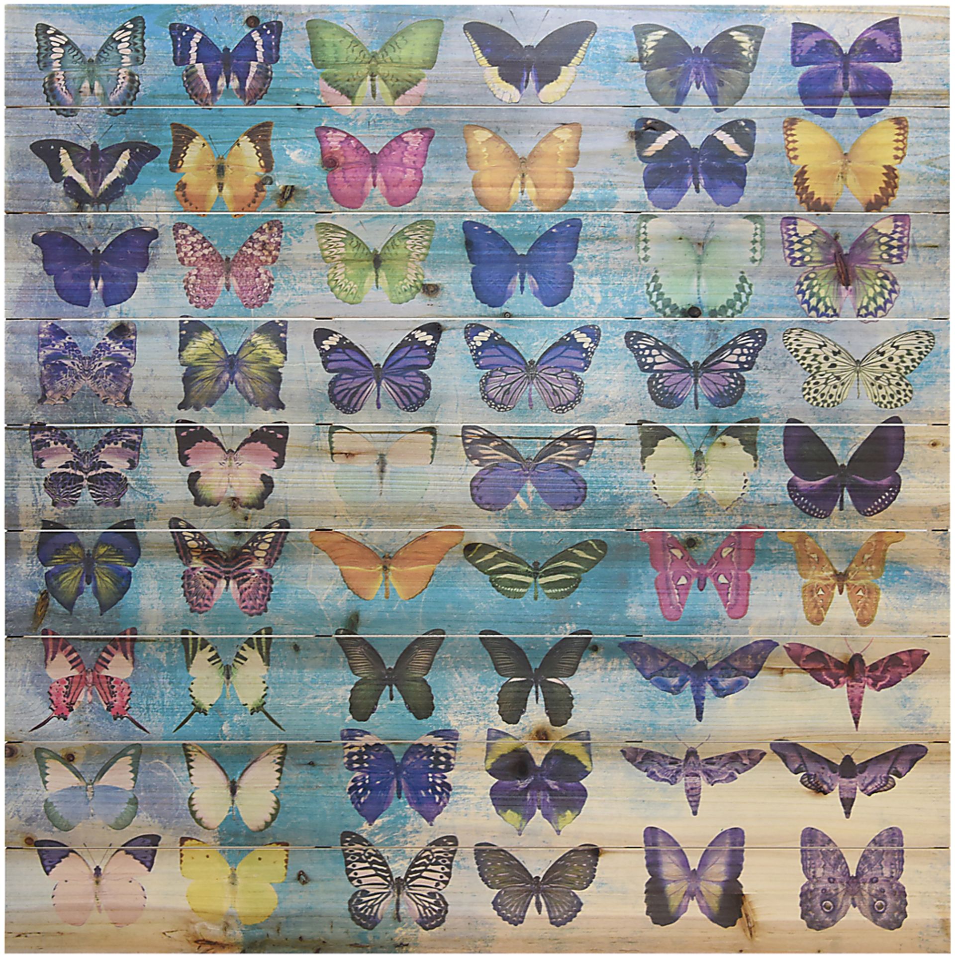 Kids Butterfly Family Rainbow Wall Art - Image 1