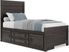Kids Creekside 2.0 Charcoal 3 Pc Twin Panel Bed with Storage Rail