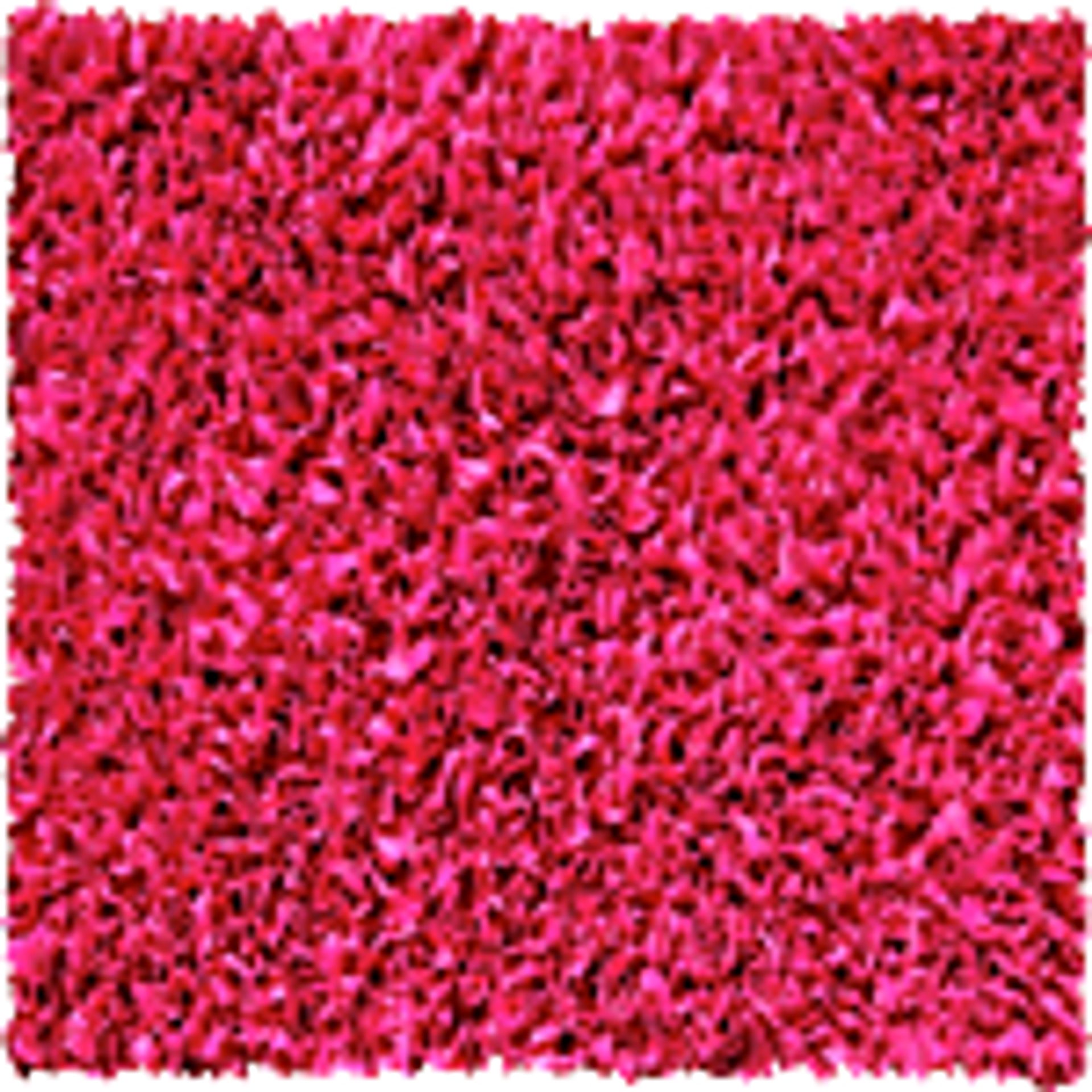 Raspberry