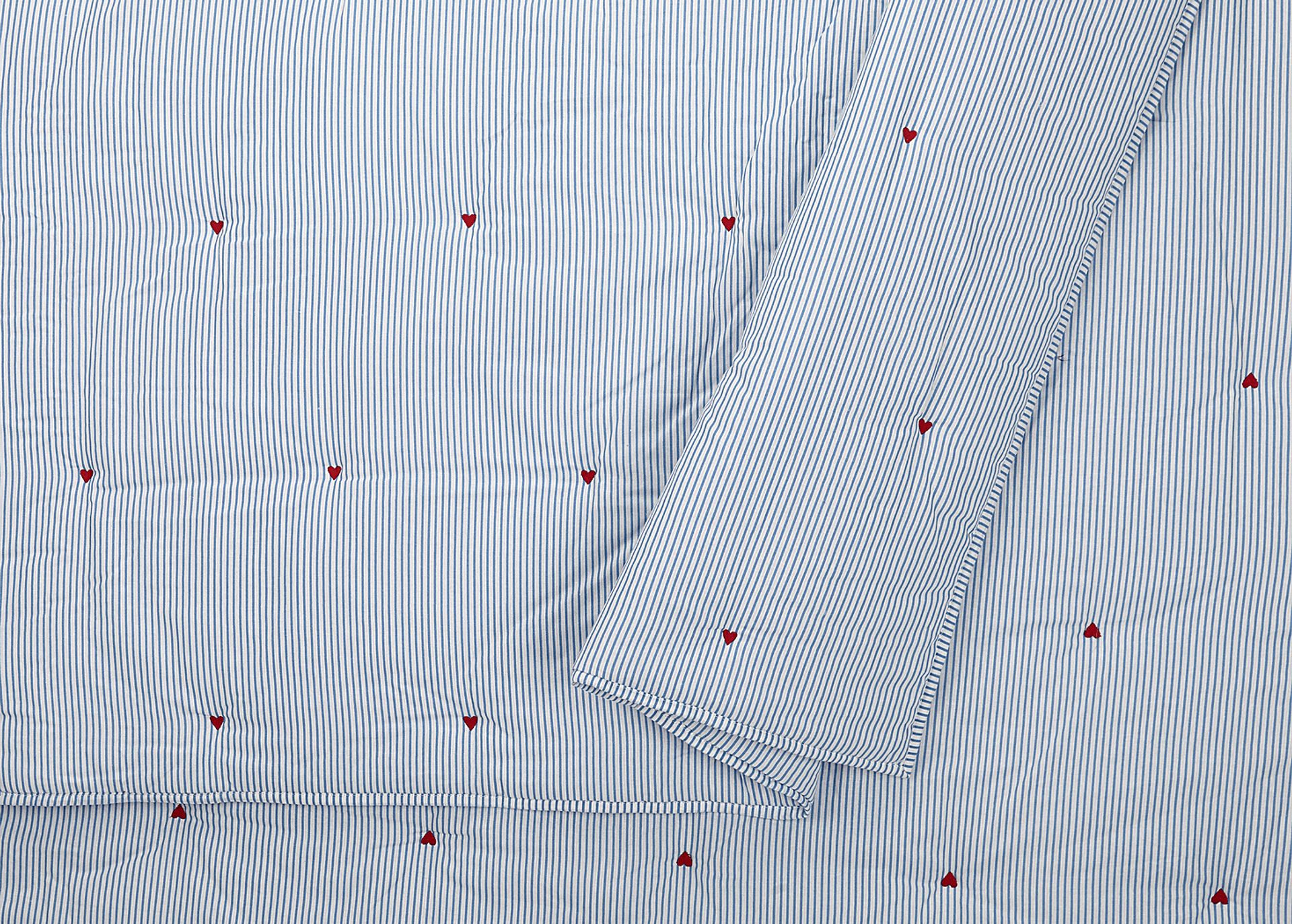 Kids Growing Garden Blue 2 Pc Twin Quilt Set - Image 2