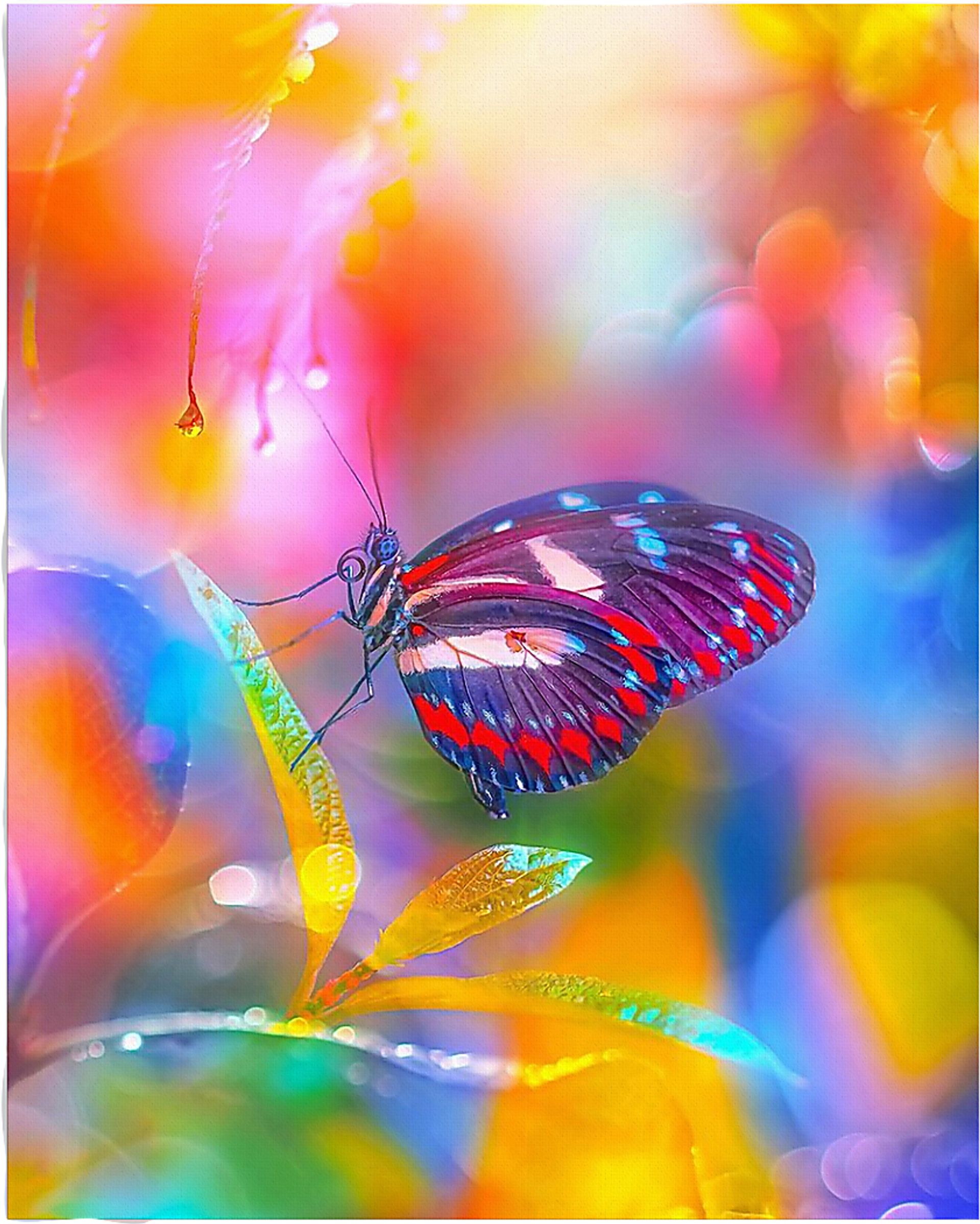 Kids Kaleidoscope Butterfly I Rainbow Artwork - Image 3