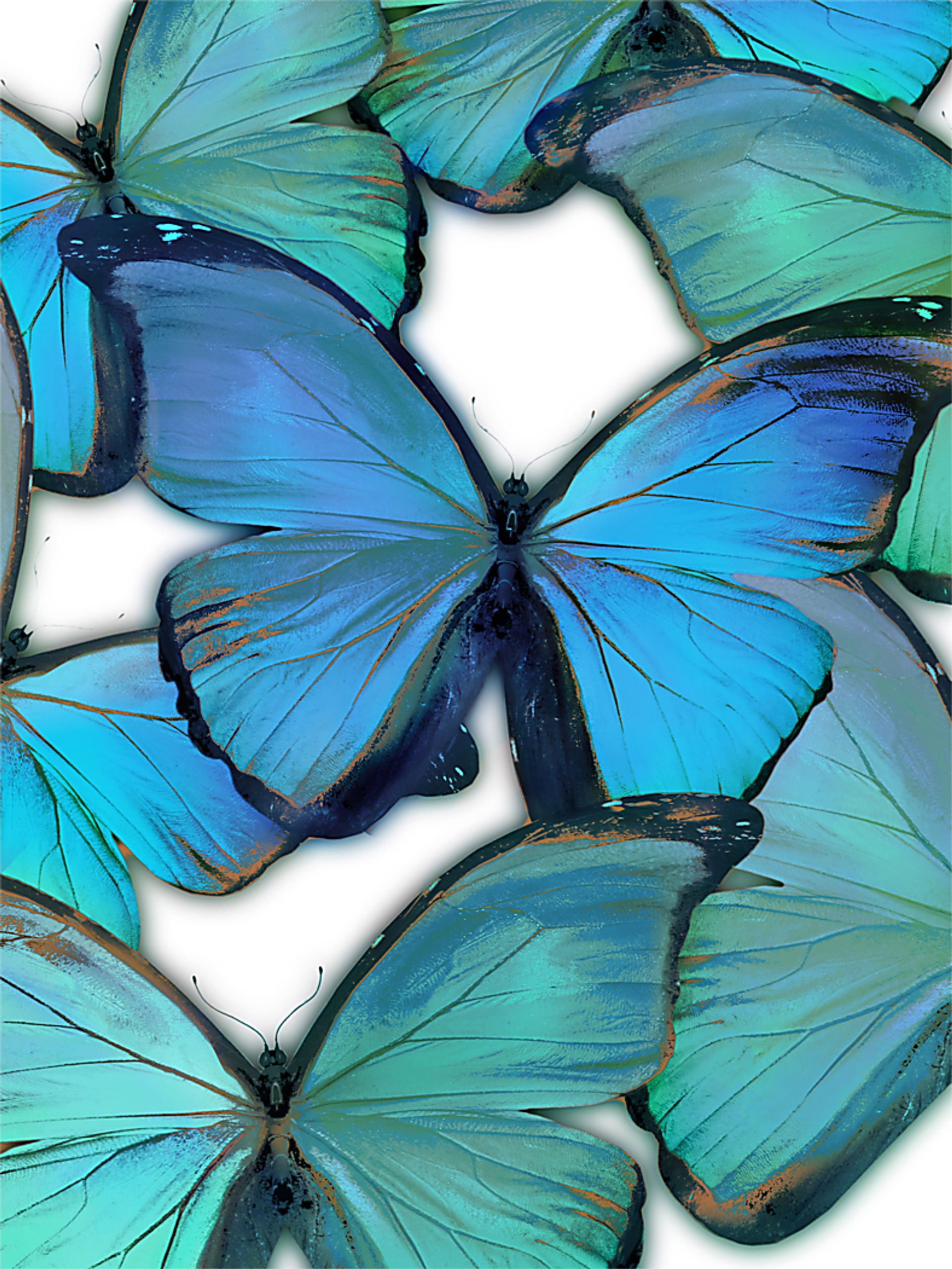 Kids Magic Butterfly I Green Canvas Wall Art - Image 1