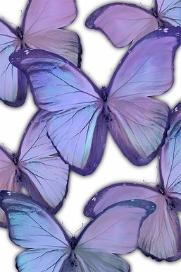 Kids Magic Butterfly II Purple Canvas Wall Art