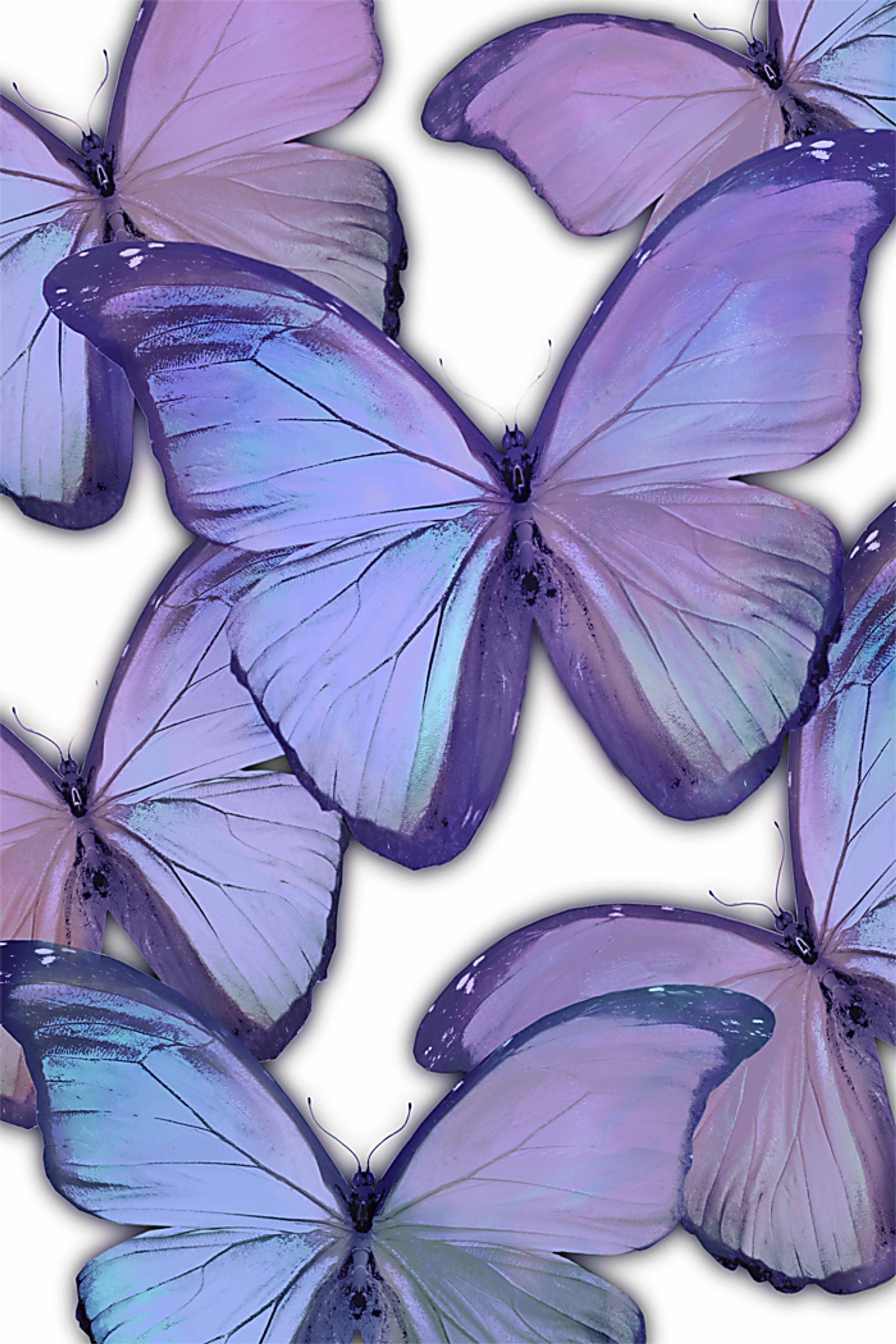 Kids Magic Butterfly II Purple Canvas Wall Art - Image 1