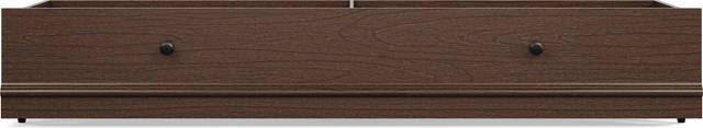 Kids Oberon Chocolate Twin Storage Trundle - Thumbnail - Image 1