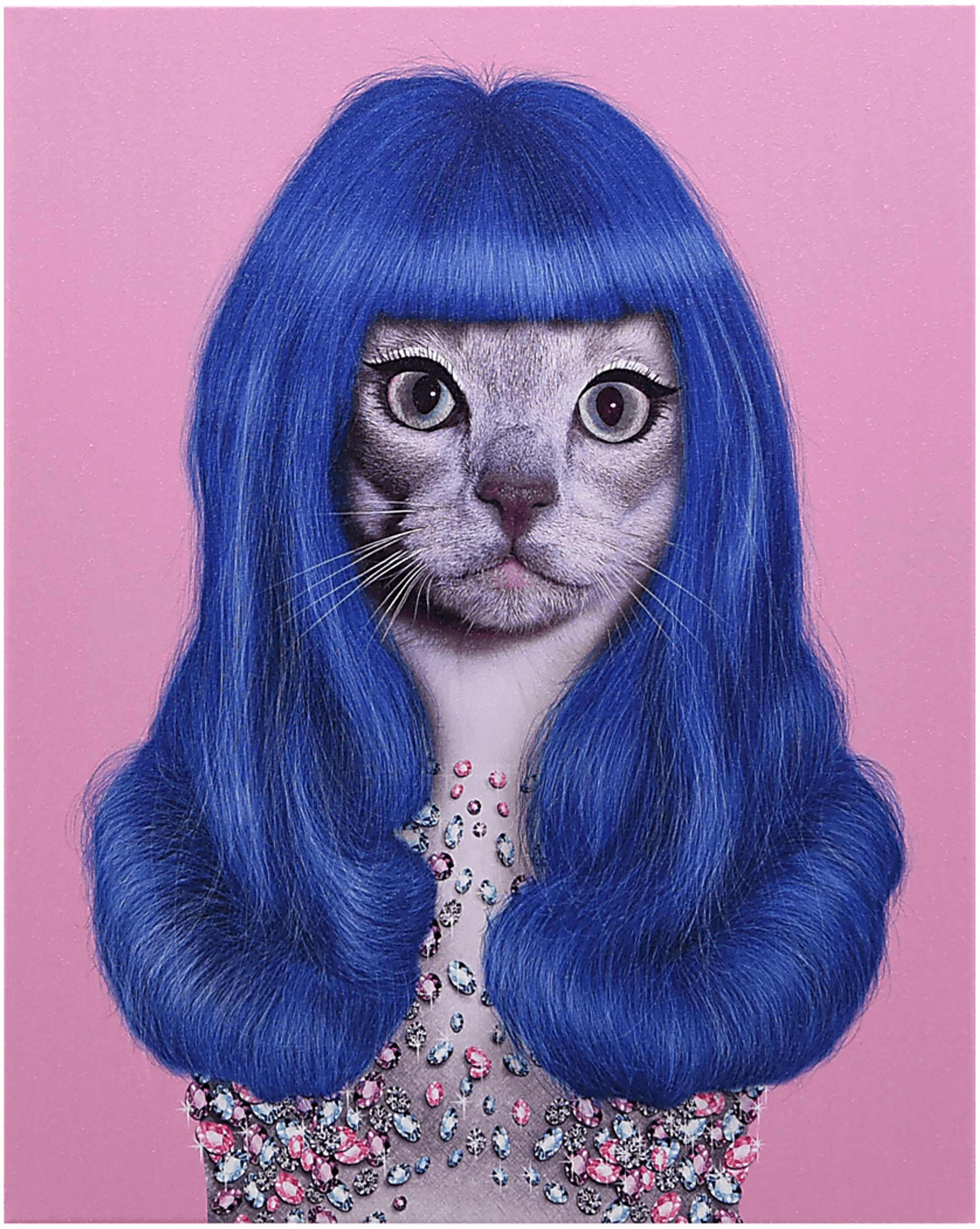 Kids Purrfect Style Blue Wall Art - Image 1