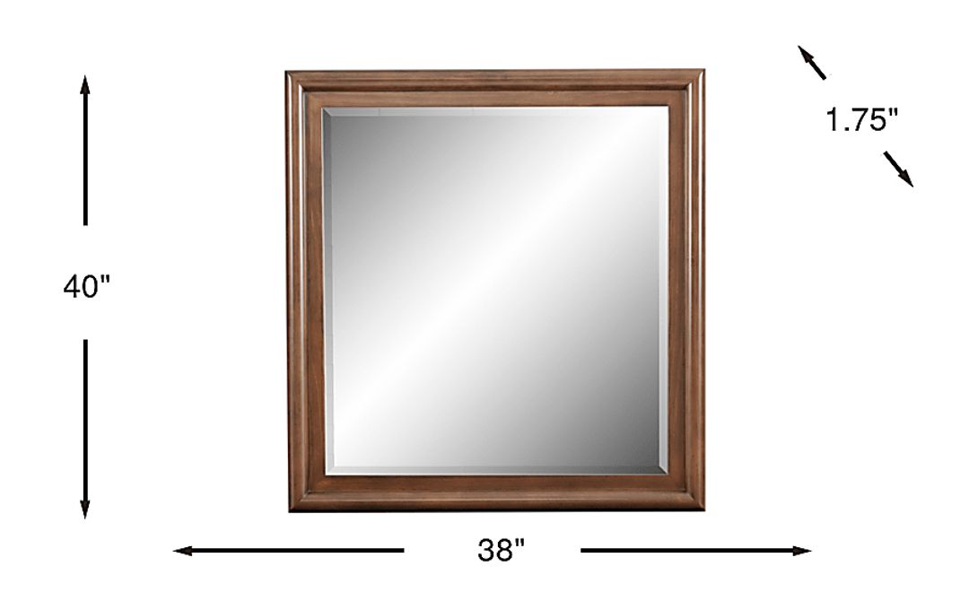 Kids Santa Cruz Brown Cherry Mirror