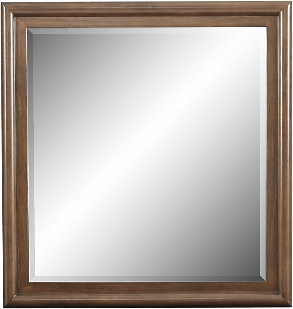 Kids Santa Cruz Brown Cherry Mirror