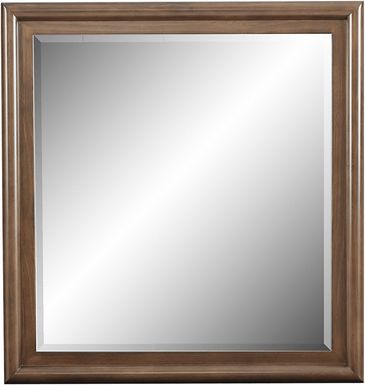 Kids Santa Cruz Brown Cherry Mirror