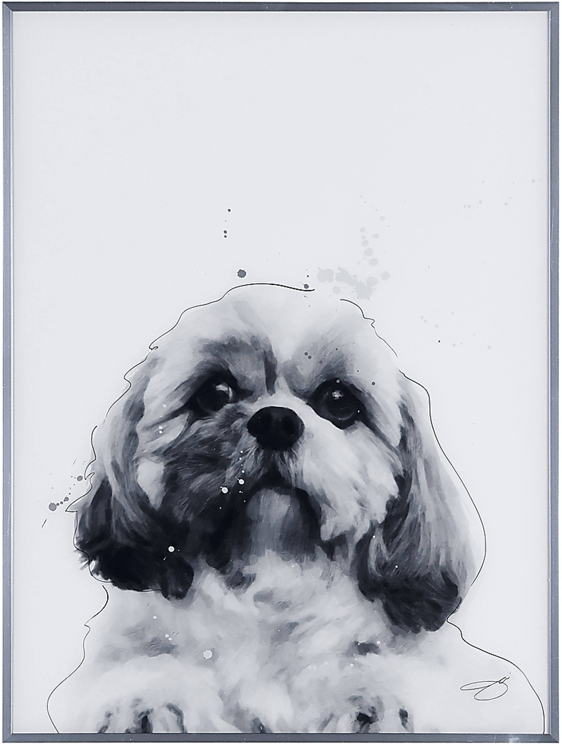 Kids Shih-Tzu Pup Black Wall Art - Image 1