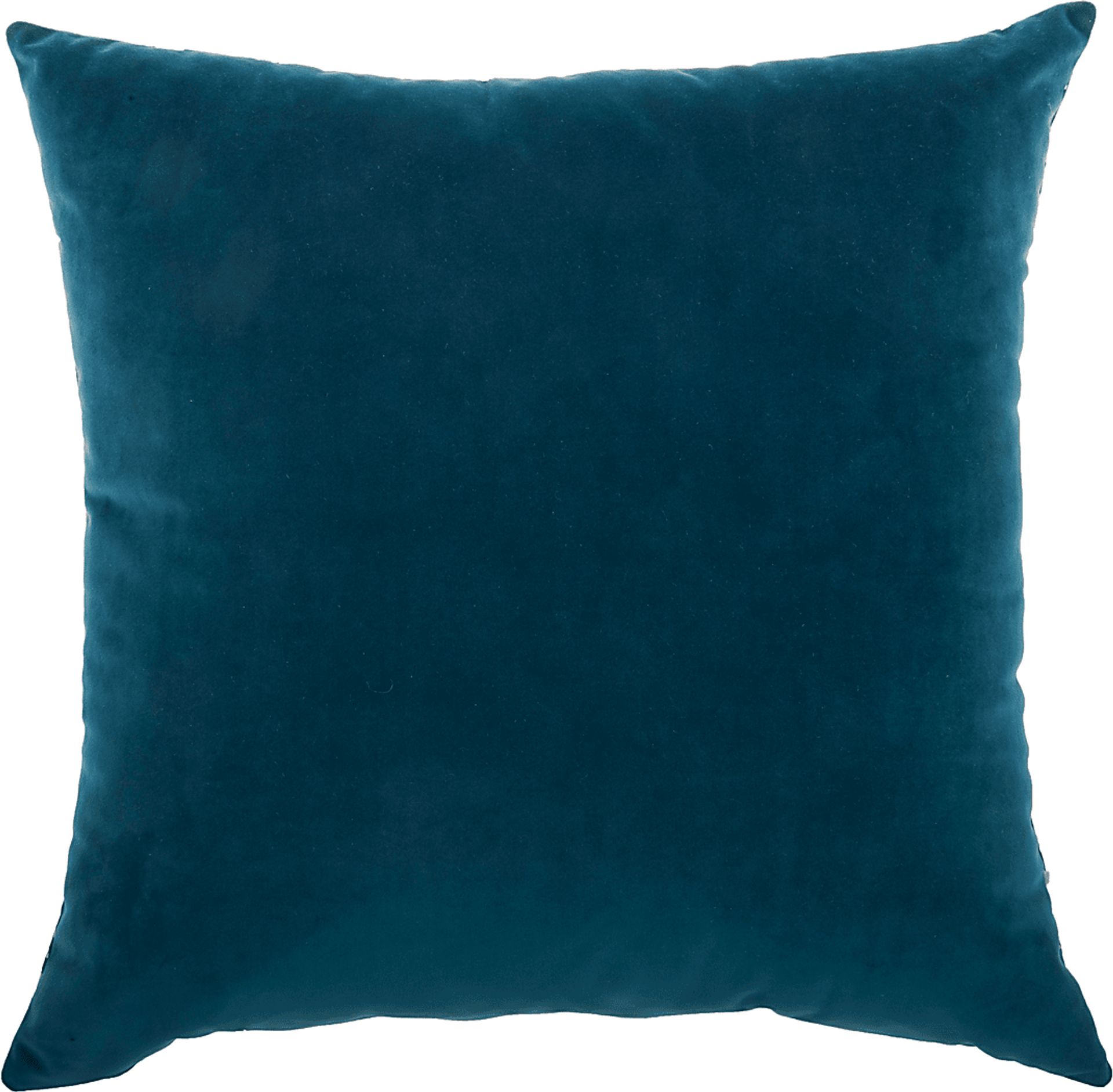 Kids Toringdon Teal Throw Pillow - Image 2