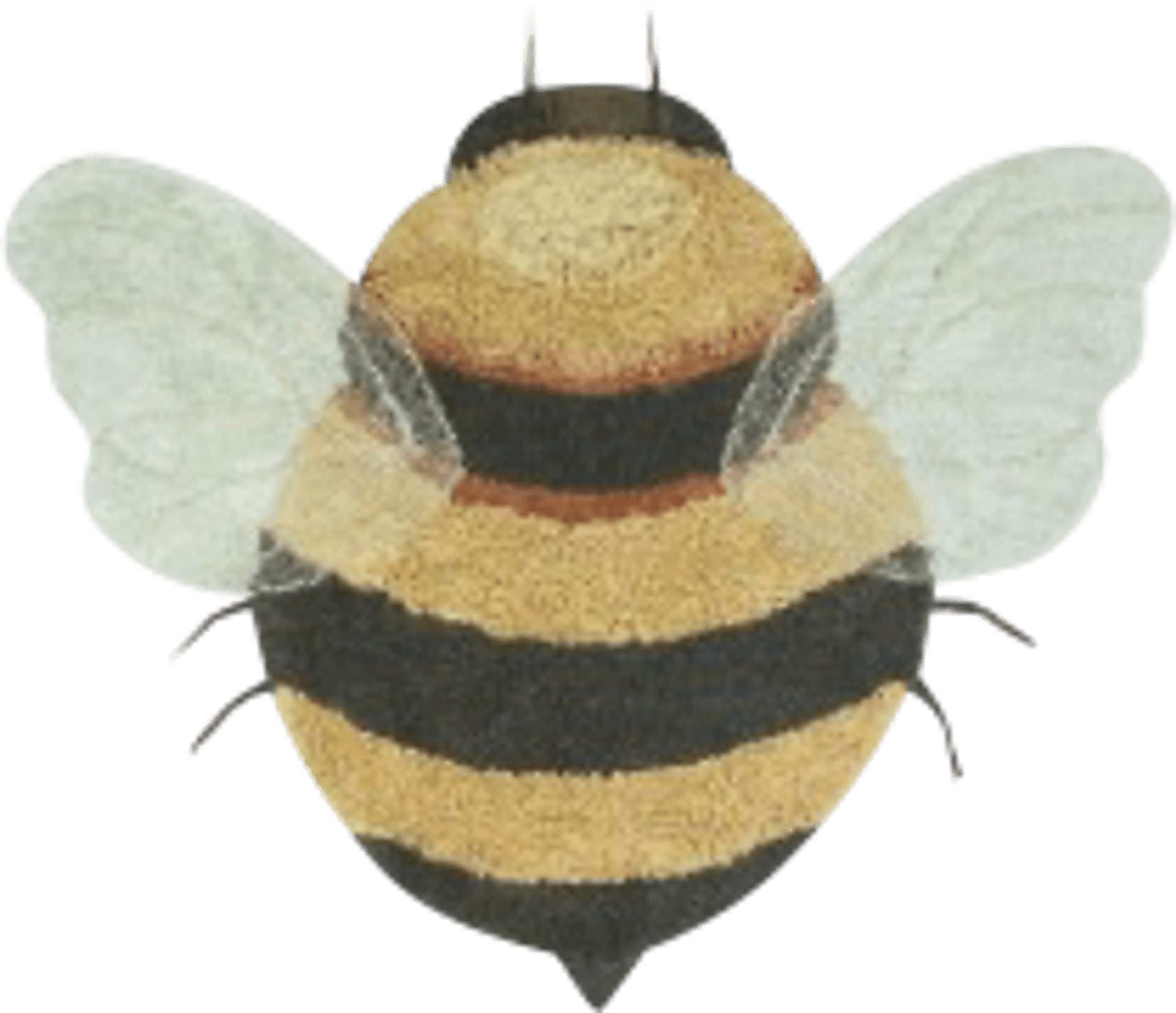 Kids Yellow 3'9 x 5' Machine Washable Bee Rug - Image 1