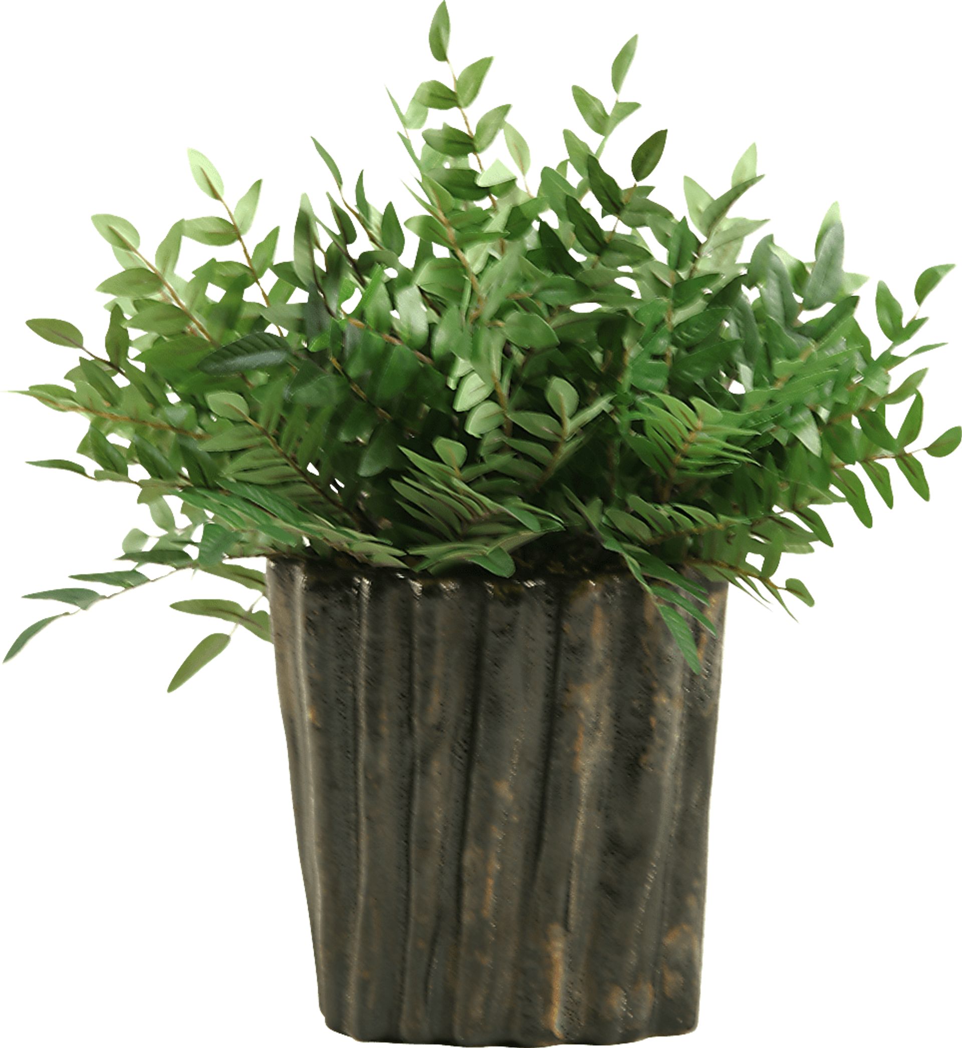 Kieryn Green Locust Medium Silk Plant - Image 1
