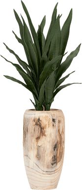 Kirschen Brown Silk Plant