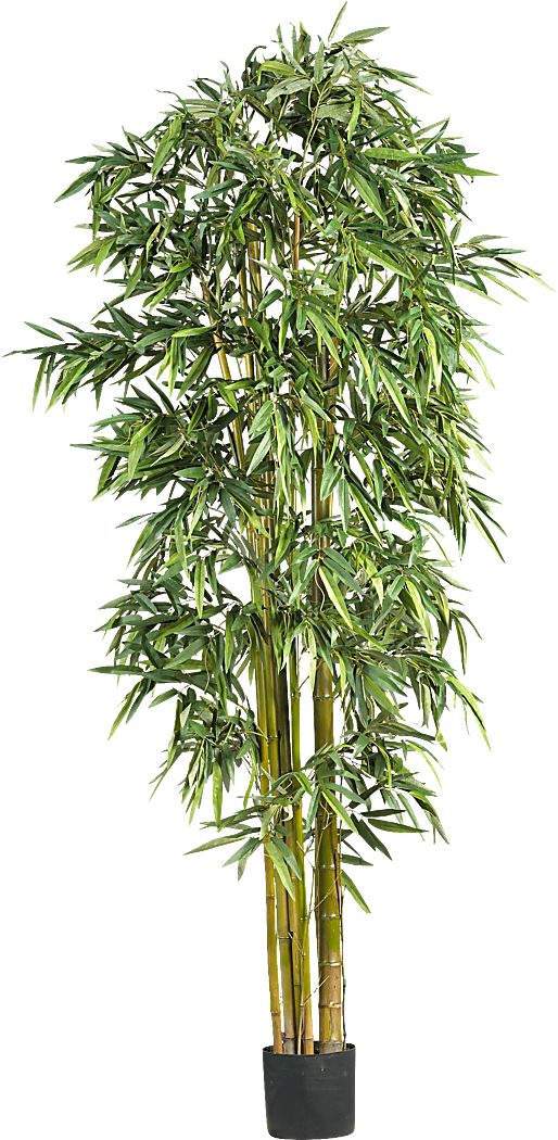 Kodha Green Bamboo Silk Tree