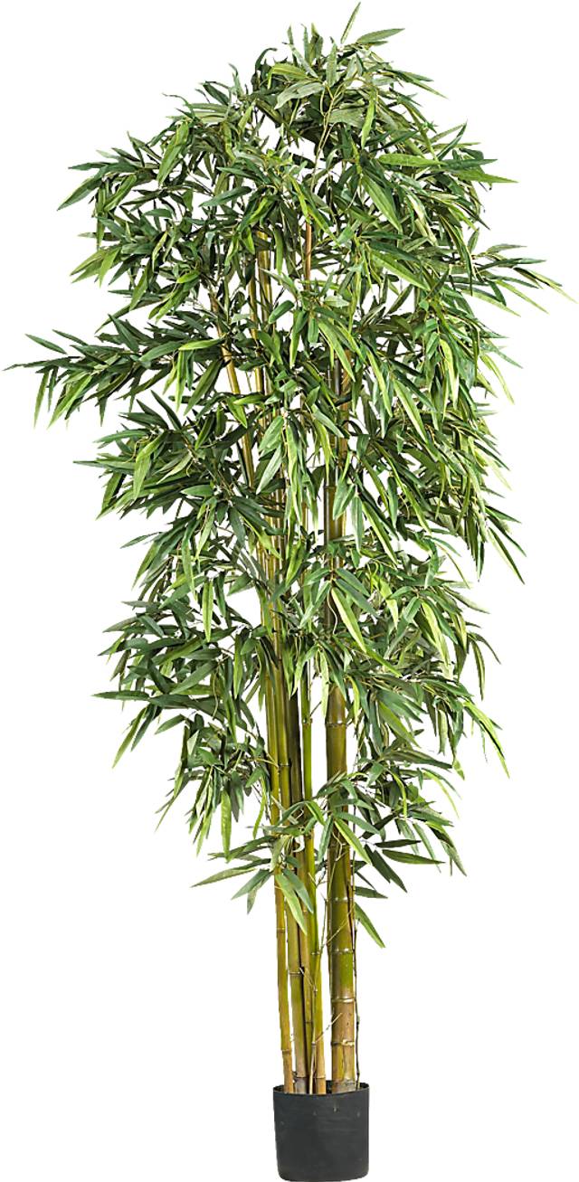 Kodha Green Bamboo Silk Tree - Thumbnail - Image 1