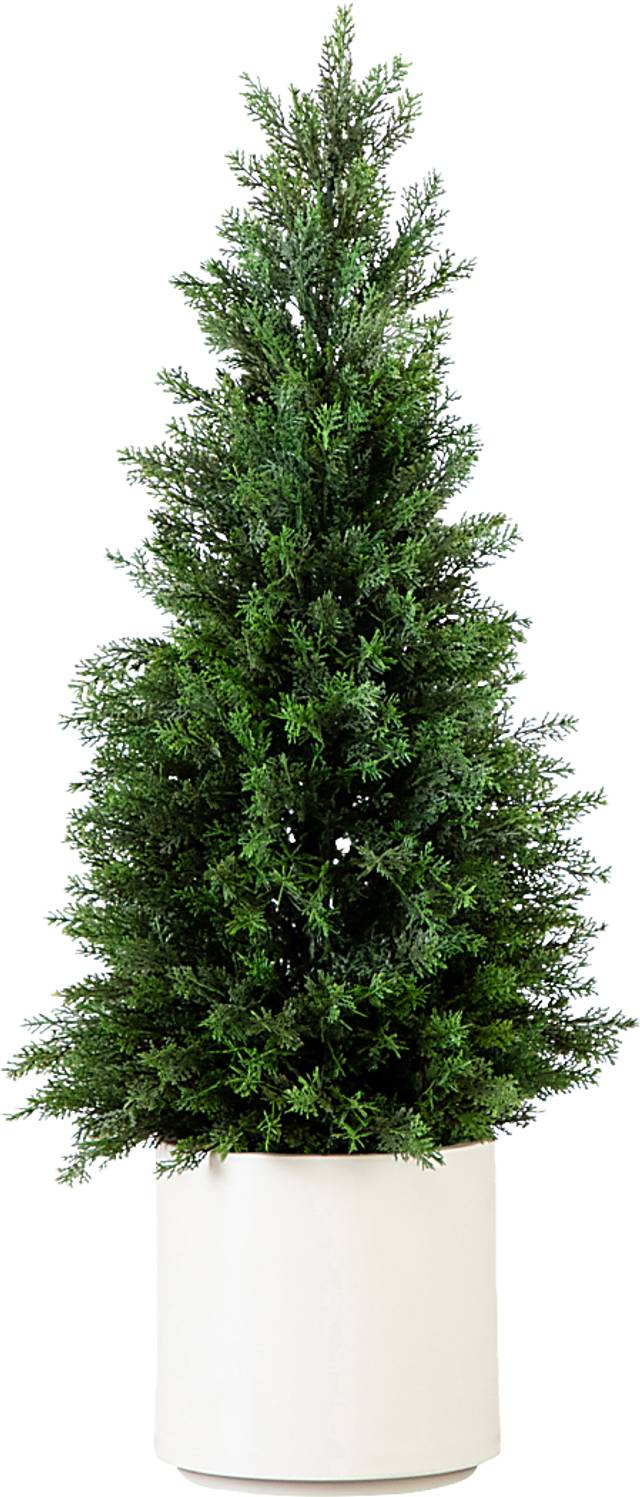 Koegel Green Indoor/Outdoor Silk Tree - Thumbnail - Image 1