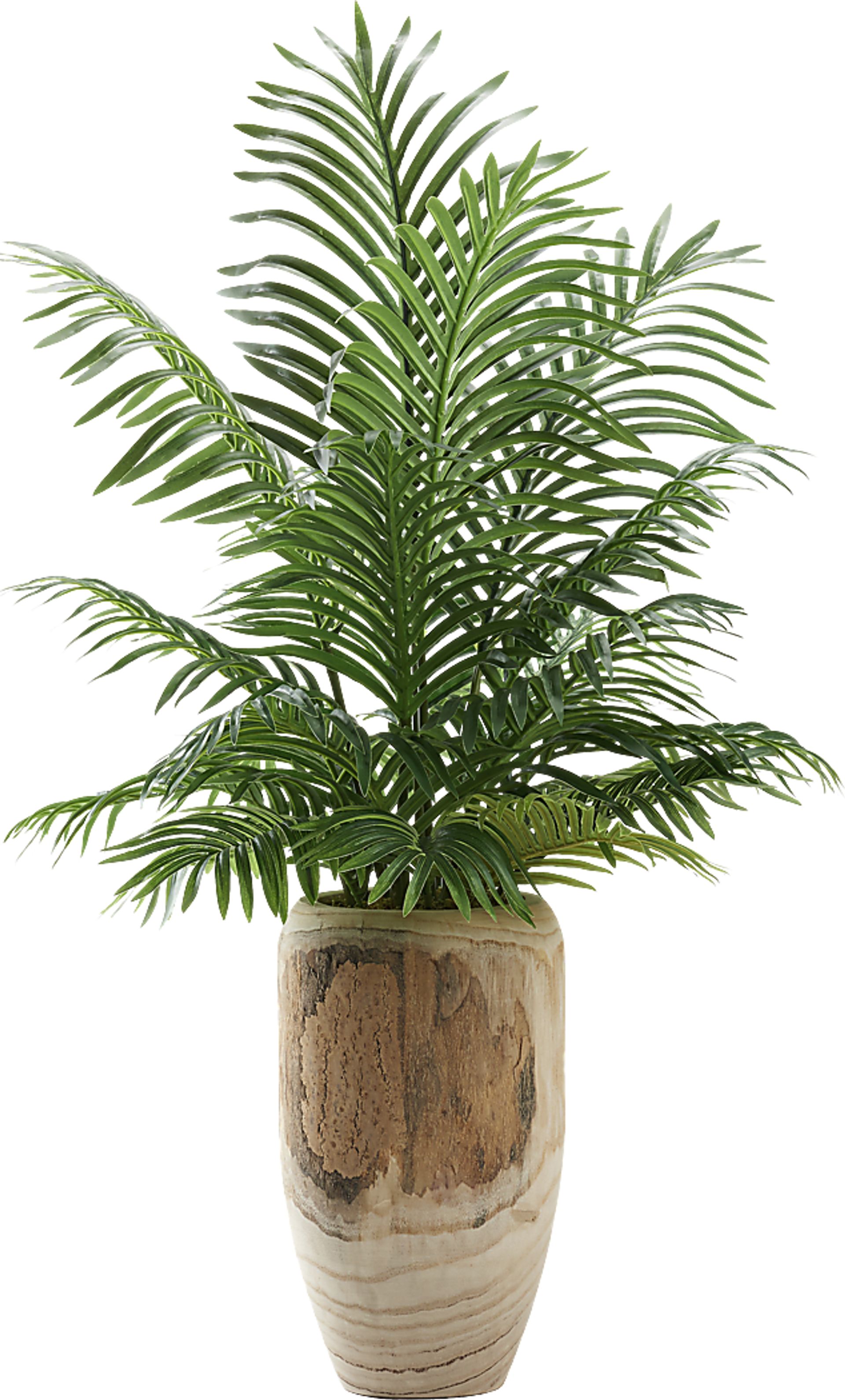Kounias Brown Silk Plant - Image 1