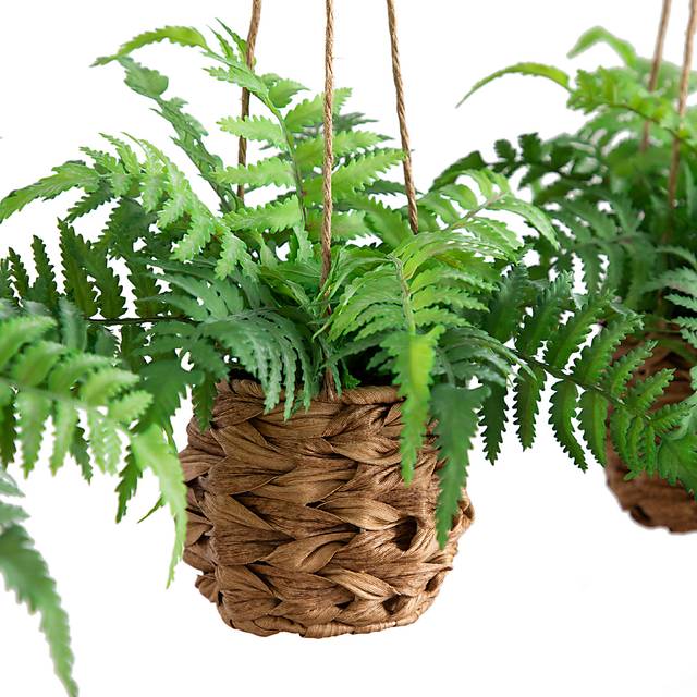 Krulock Green Indoor/Outdoor Silk Plant, Set of 3 - Thumbnail - Image 3