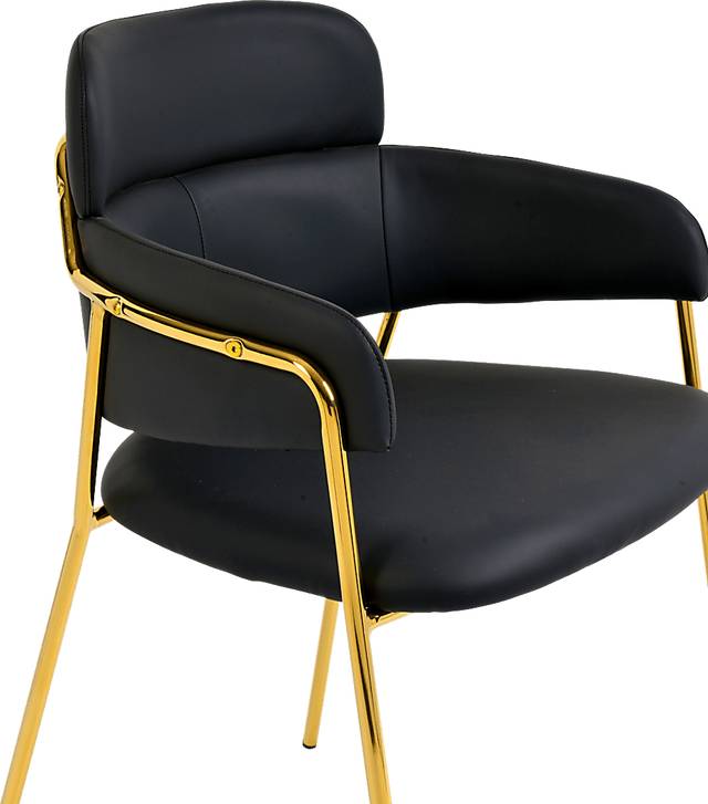 Kune Black Arm Chair, Set of 2 - Thumbnail - Image 6