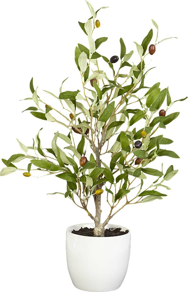 Kyden Green Olive Set of 2 Silk Tree - Thumbnail - Image 2