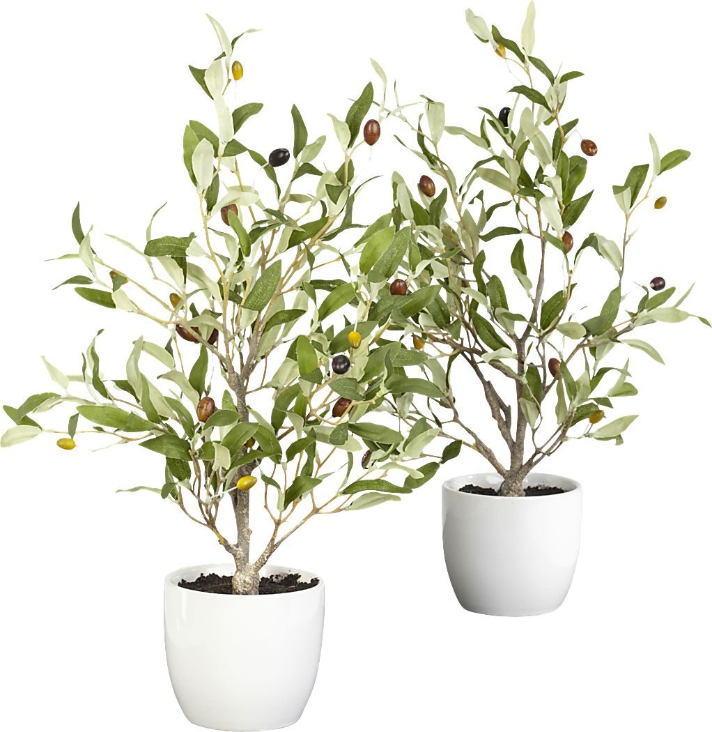 Kyden Green Olive Set of 2 Silk Tree
