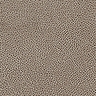 Light Taupe