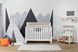 Lachlan White Convertible Crib with Toddler Rail