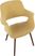 Lafanette IV Yellow Arm Chair, Set of 2