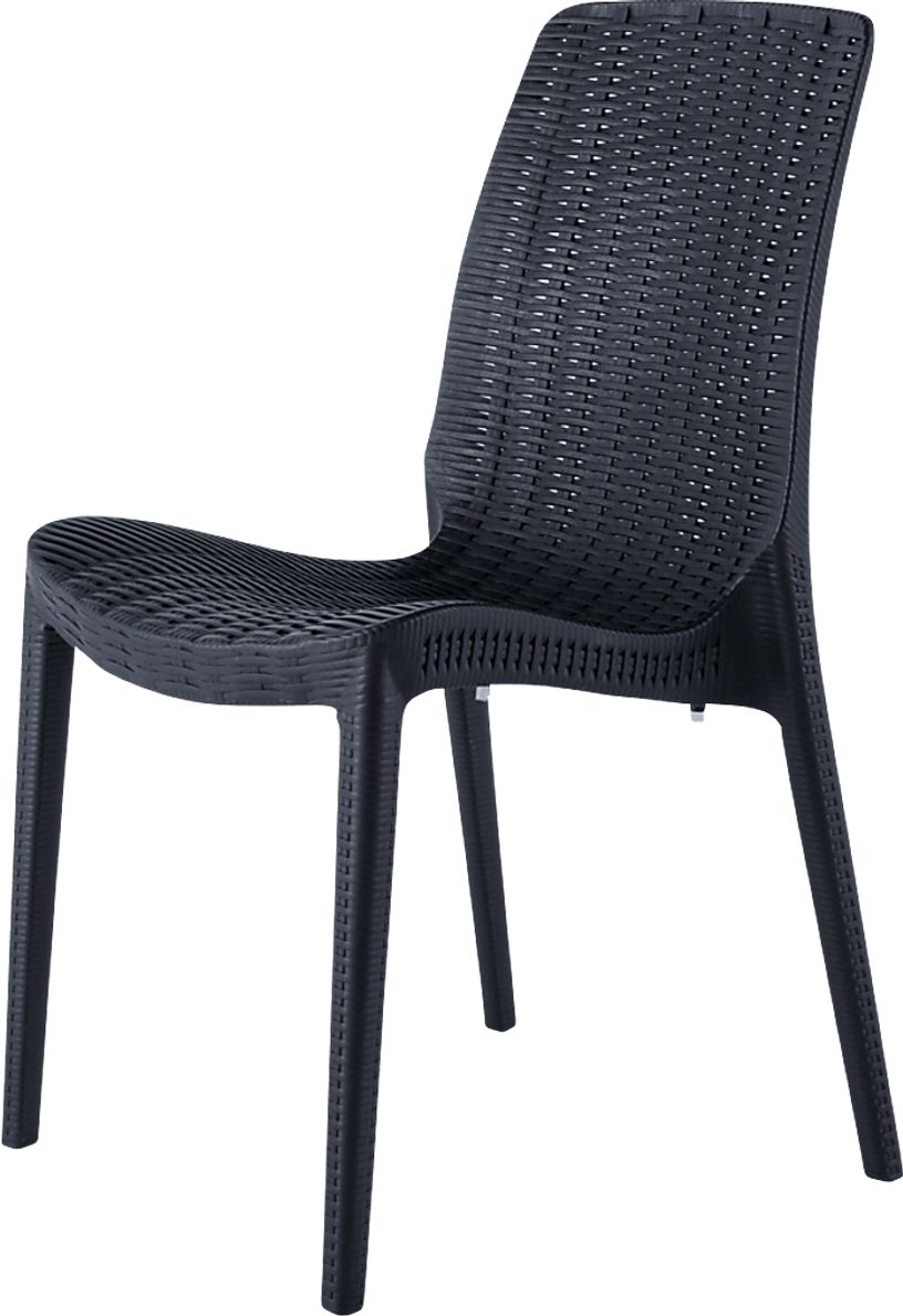 Lagoon Rue Black Outdoor Dining Chair, Set of 2