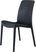 Lagoon Rue Black Outdoor Dining Chair, Set of 2