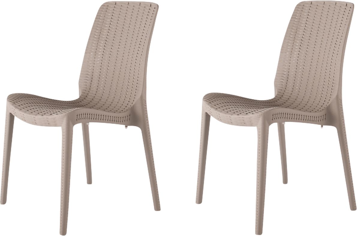 Lagoon Rue Gray Outdoor Dining Chair, Set of 2