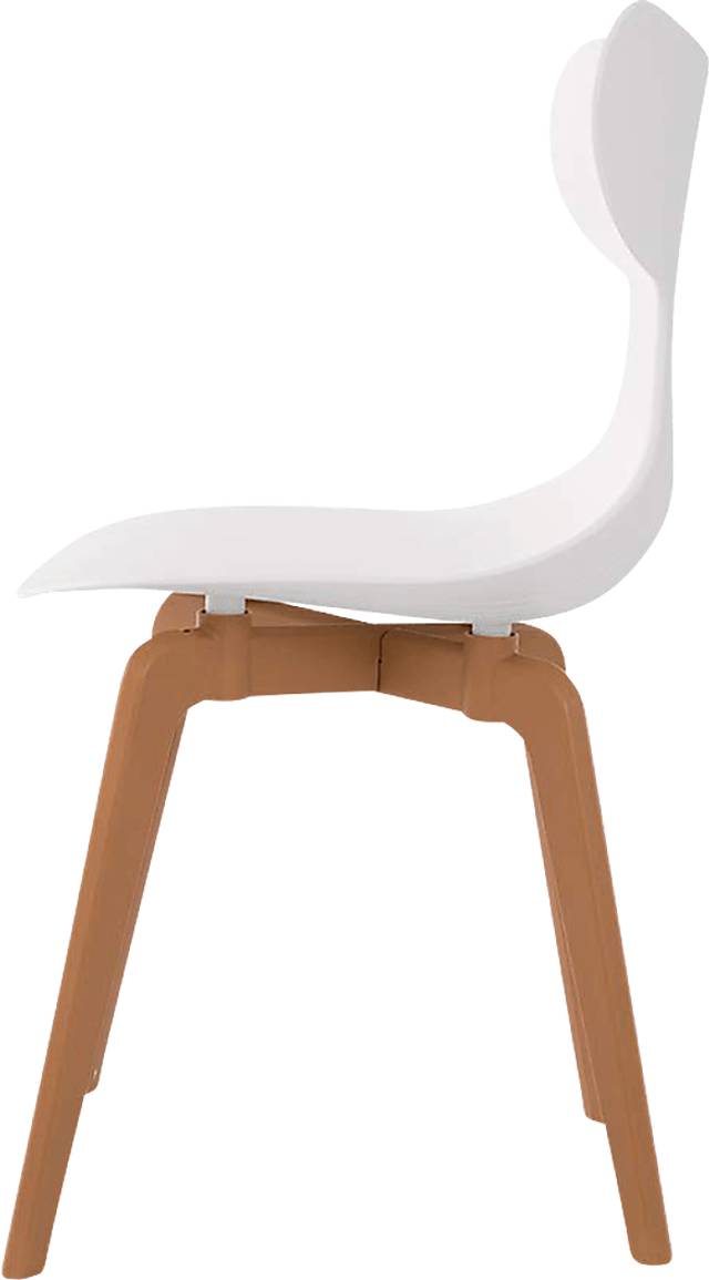 Lagoon Whale White Dining Chair, Set of 4 - Thumbnail - Image 3