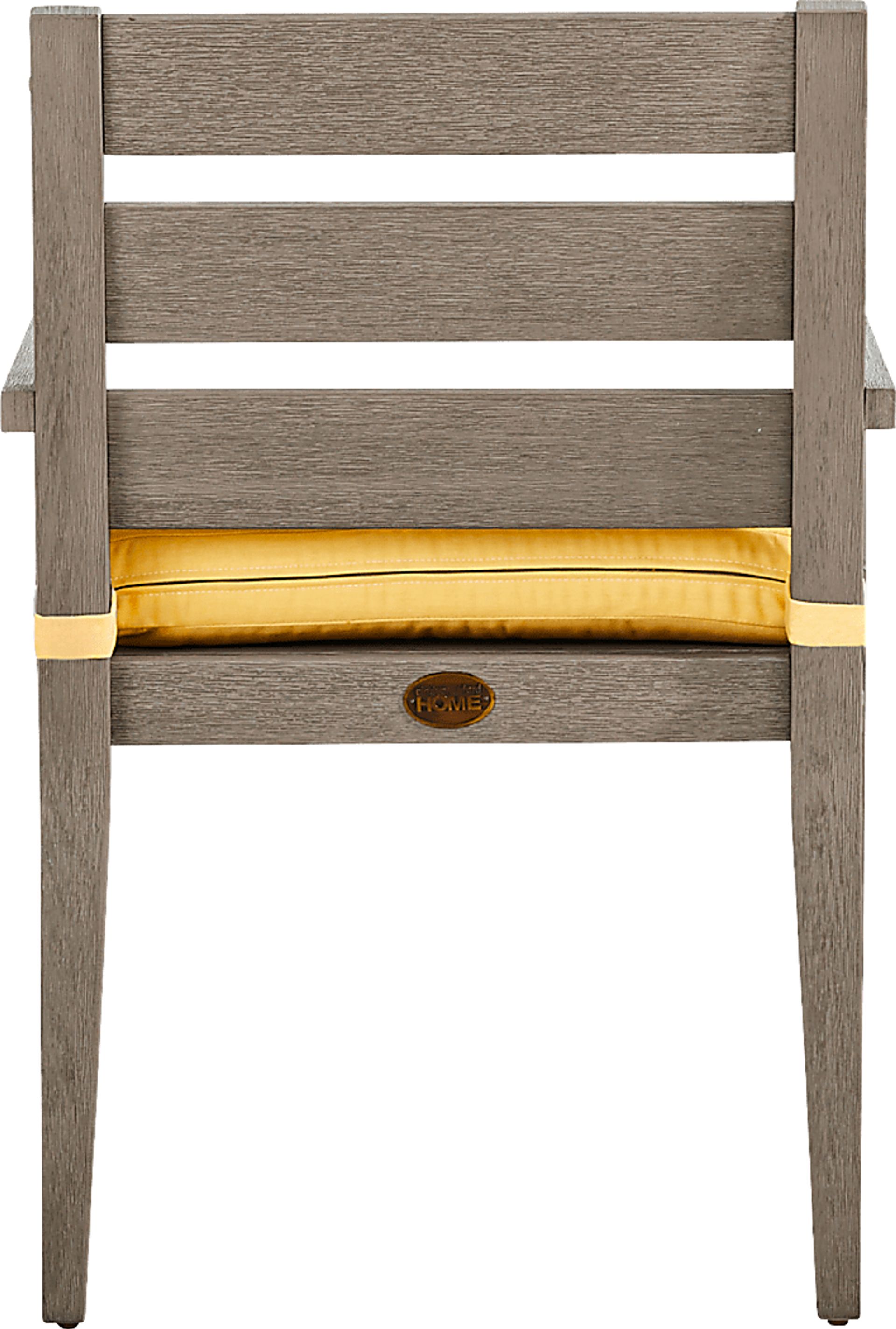 Lake Tahoe Gray Outdoor Arm Chair with Buttercup Cushion - Image 3