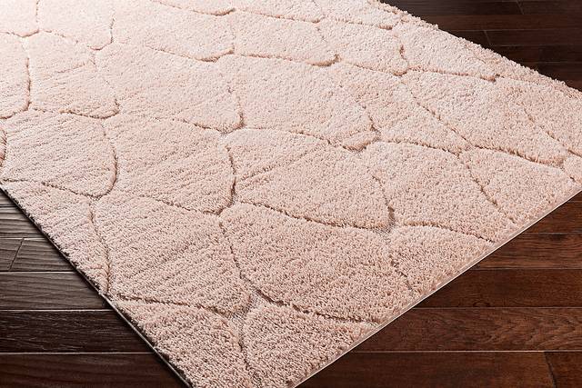 Lalisa Coral 7'10 x 10' Rug - Thumbnail - Image 3
