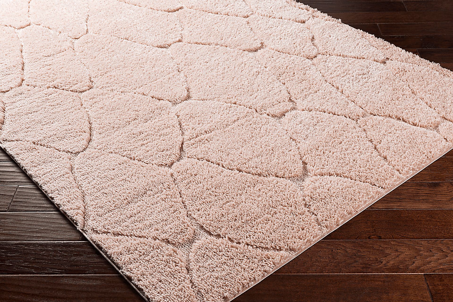 Lalisa Coral 7'10 x 10' Rug - Image 3