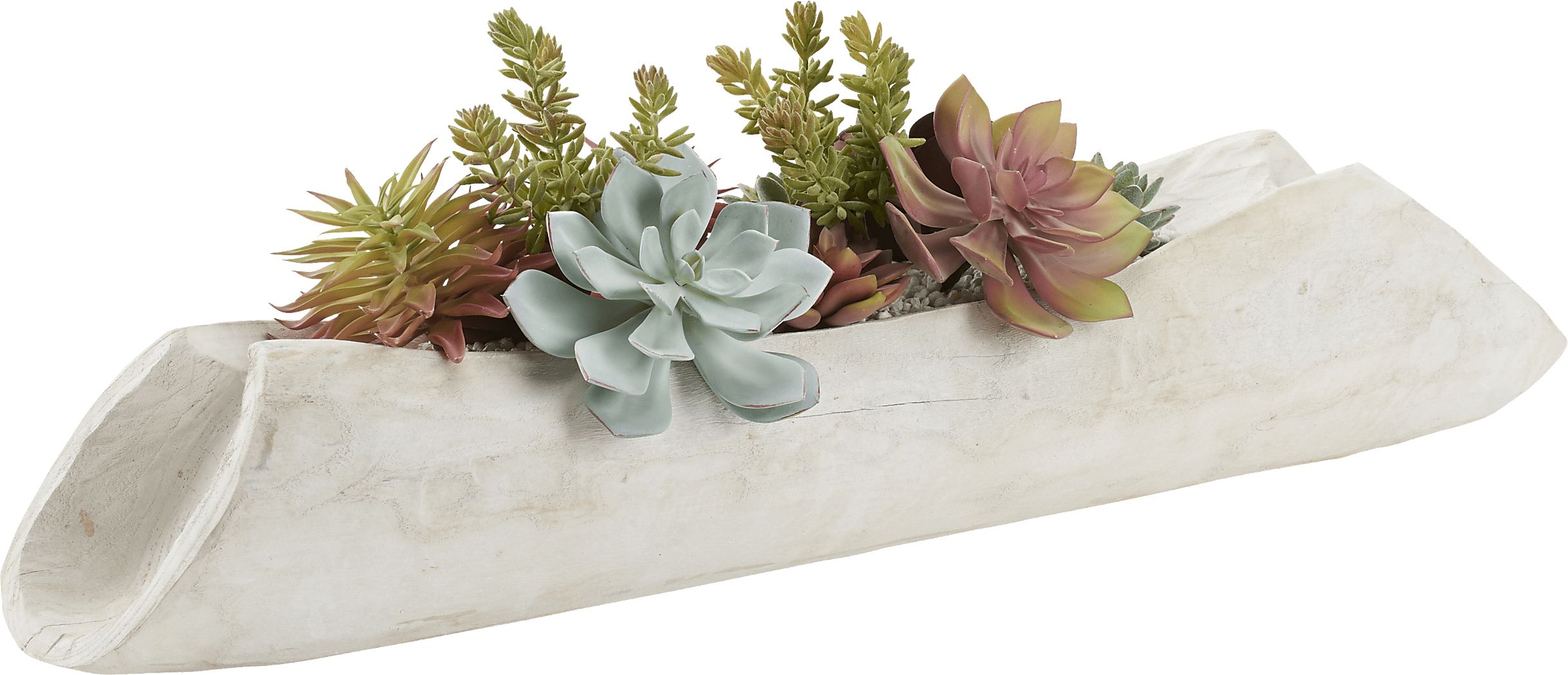 Landreth White Silk Plant