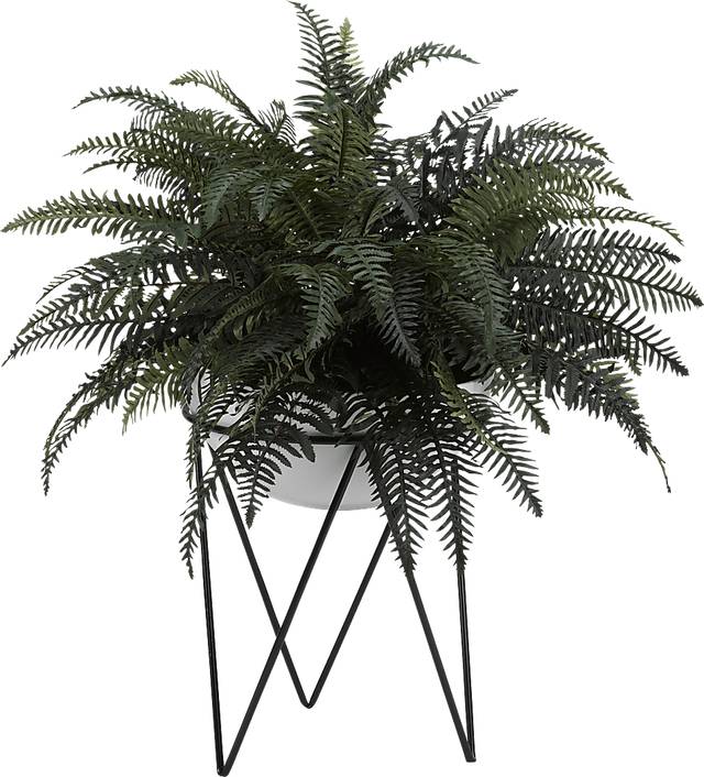 Landrie Green Fern Silk Plant - Thumbnail - Image 1