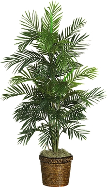 Landyn Green Palm Silk Tree