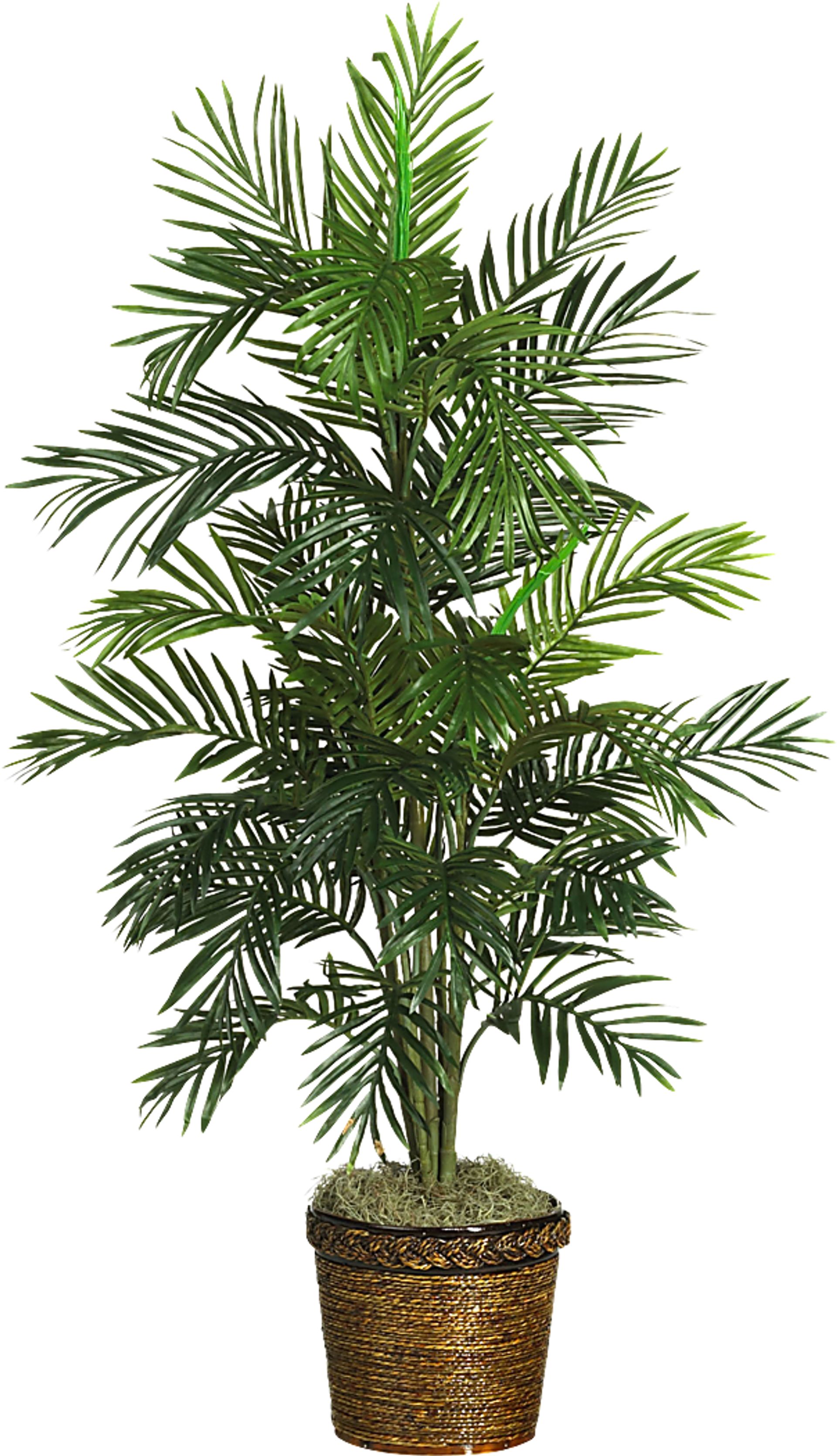 Landyn Green Palm Silk Tree - Image 1