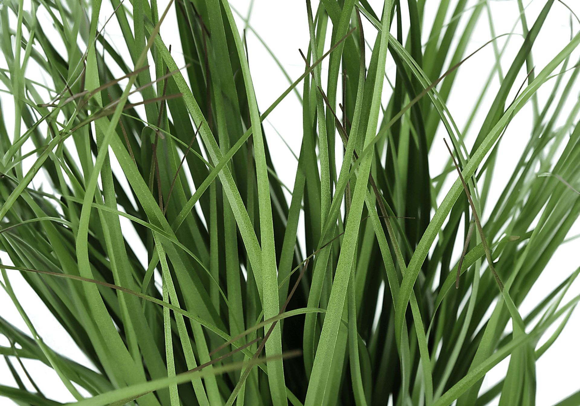 Lanseh Green Artificial Grass Plant - Image 4
